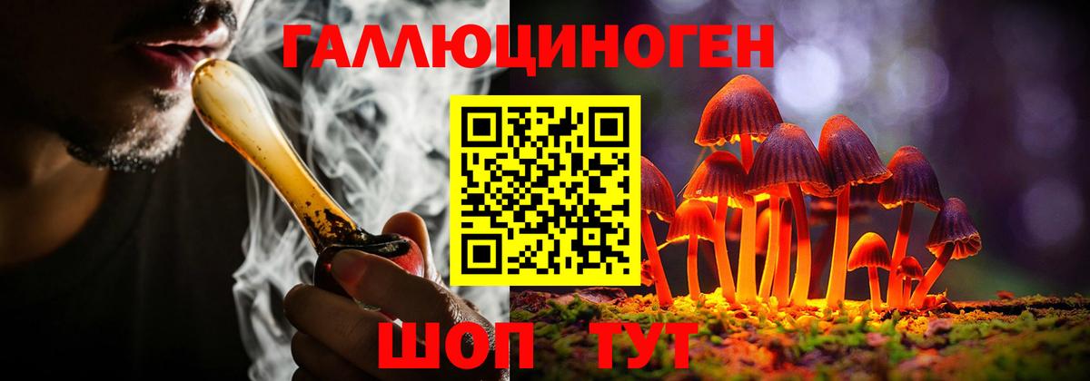 Псилоцибиновые грибы мухоморы Татарск